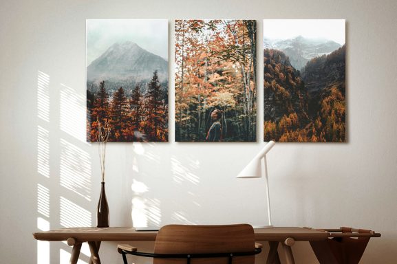 Productos Fotográficos Productos Fotográficos